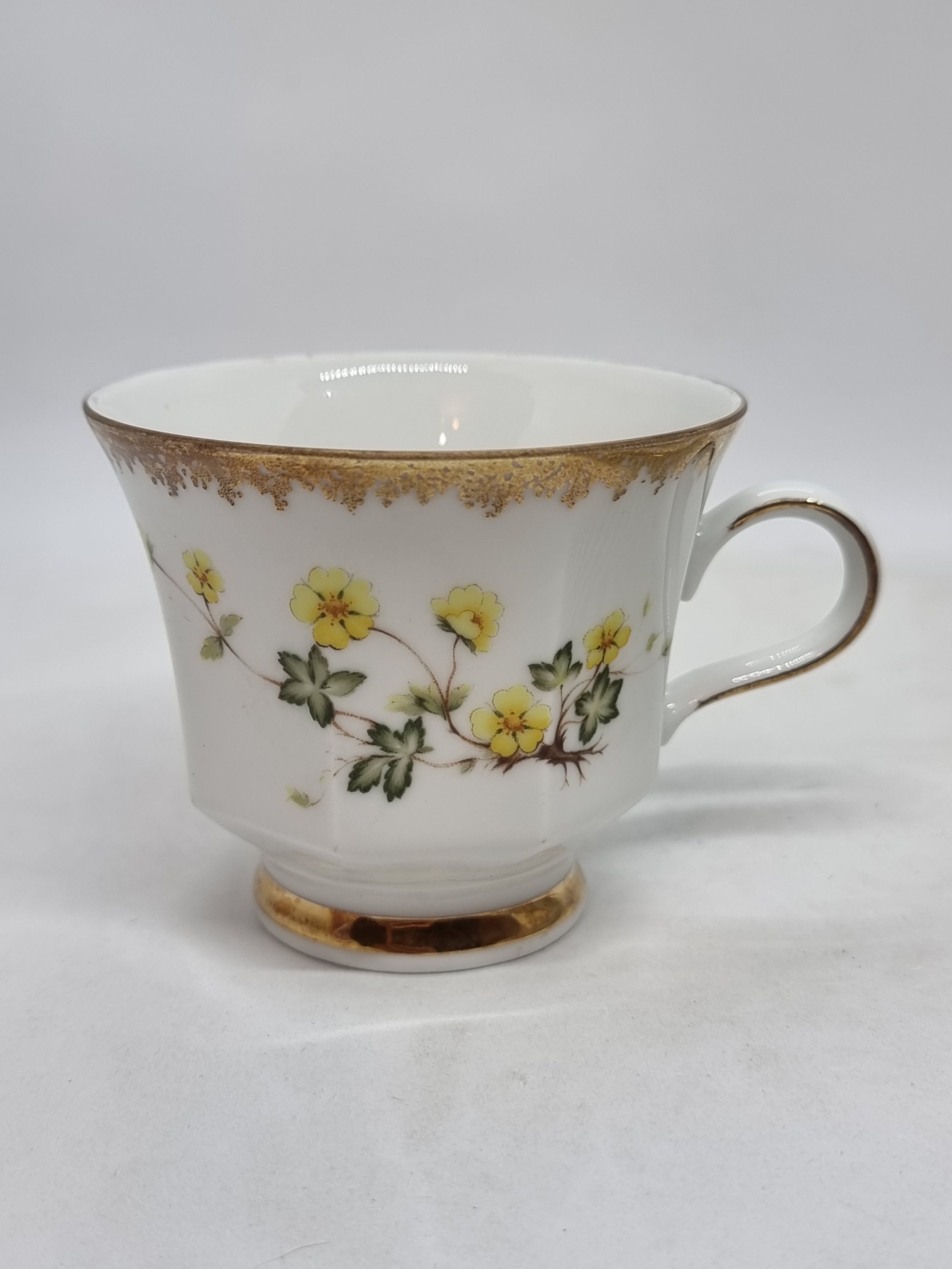 Vintage Svaneholm 1530 Flora Alpina Porcelain Cup and Saucers Nr.5