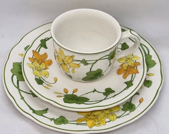 Vintage Villeroy & Boch 