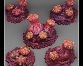 Forest Scatter Set | Underdark Terrain | Organic Mushrooms | 28mm / 32mm | DnD, RPG Tabletop Scatter