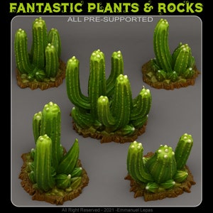 Poisonous Cactus (5 Models) by Print Your Monsters | Dungeons and Dragons | D&D | DnD | Tabletop Games | Wargames | Scatter Terrain