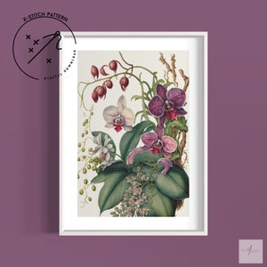 Patrón de punto de cruz contado Orchid Blooms, punto X de cobertura completa, gráfico de punto de cruz descargable, DMC, PDF