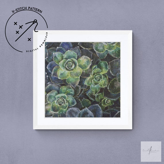 Rock Roses Counted Cross Stitch Pattern, Modern X Stitch, Downloadable Cross Stitch Chart, Succulent, DMC, PDF