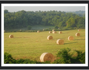 Balles de foin - Photo encadrée