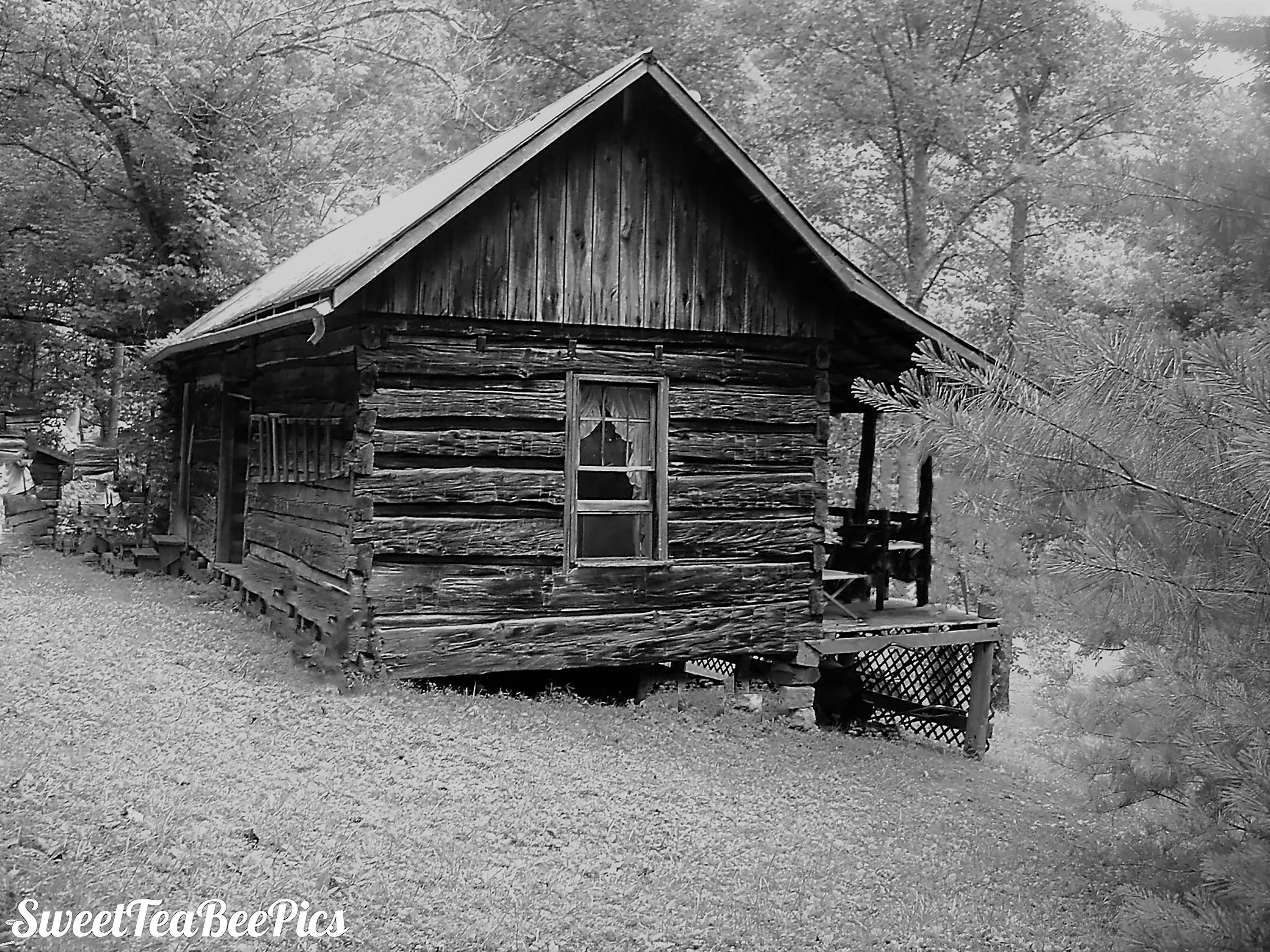 Moonshiner's Shack Etsy