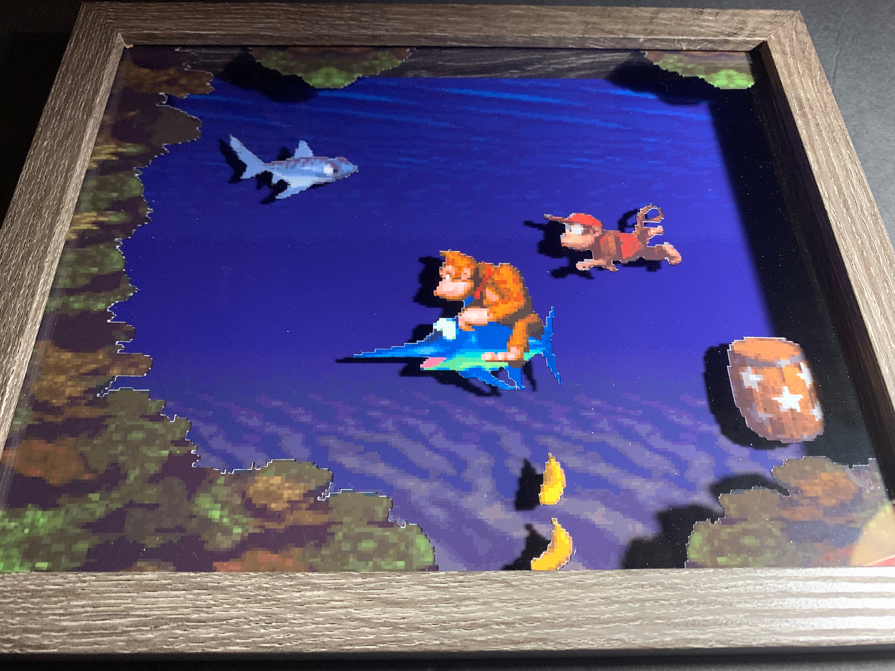 SNES Donkey Kong Country aquatic Ambience 3D Shadow Box 8 X 10 - Etsy