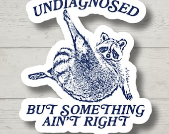 May include: A white sticker with a blue raccoon illustration and the text "Undiagnosed but something ain't right".