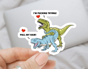 Pull my hair dinosaurs, laptop stickers, funny stickers, sarcastic sticker, trex, kindle sticker, smut, romance, kink