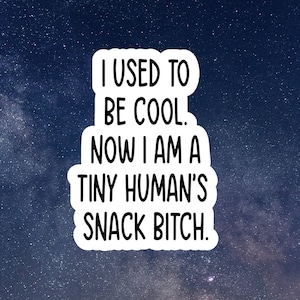snack bitch funny sticker, waterproof vinyl sticker, laptop stickers, funny stickers, snarky sticker, sarcastic gift, kindle stickers