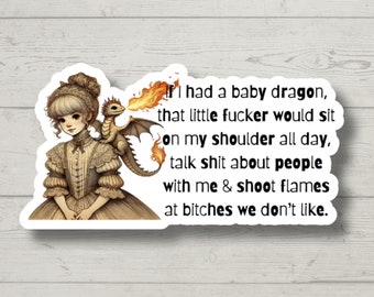 Baby Dragon, Funny Sticker for Laptop, Water Bottle, E-Reader Sticker, Sarcastic, Cute Animal Stickers, Funny Vinyl Decal