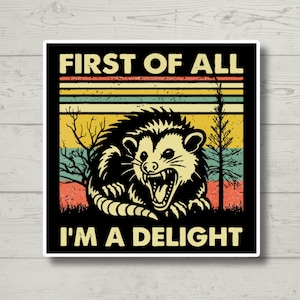 First of All I&#39;m a Delight, Funny Possum Sticker for Laptop, Water Bottle, Kindle, Sarcastic, Cute Animal Stickers, Funny Vinyl Decal