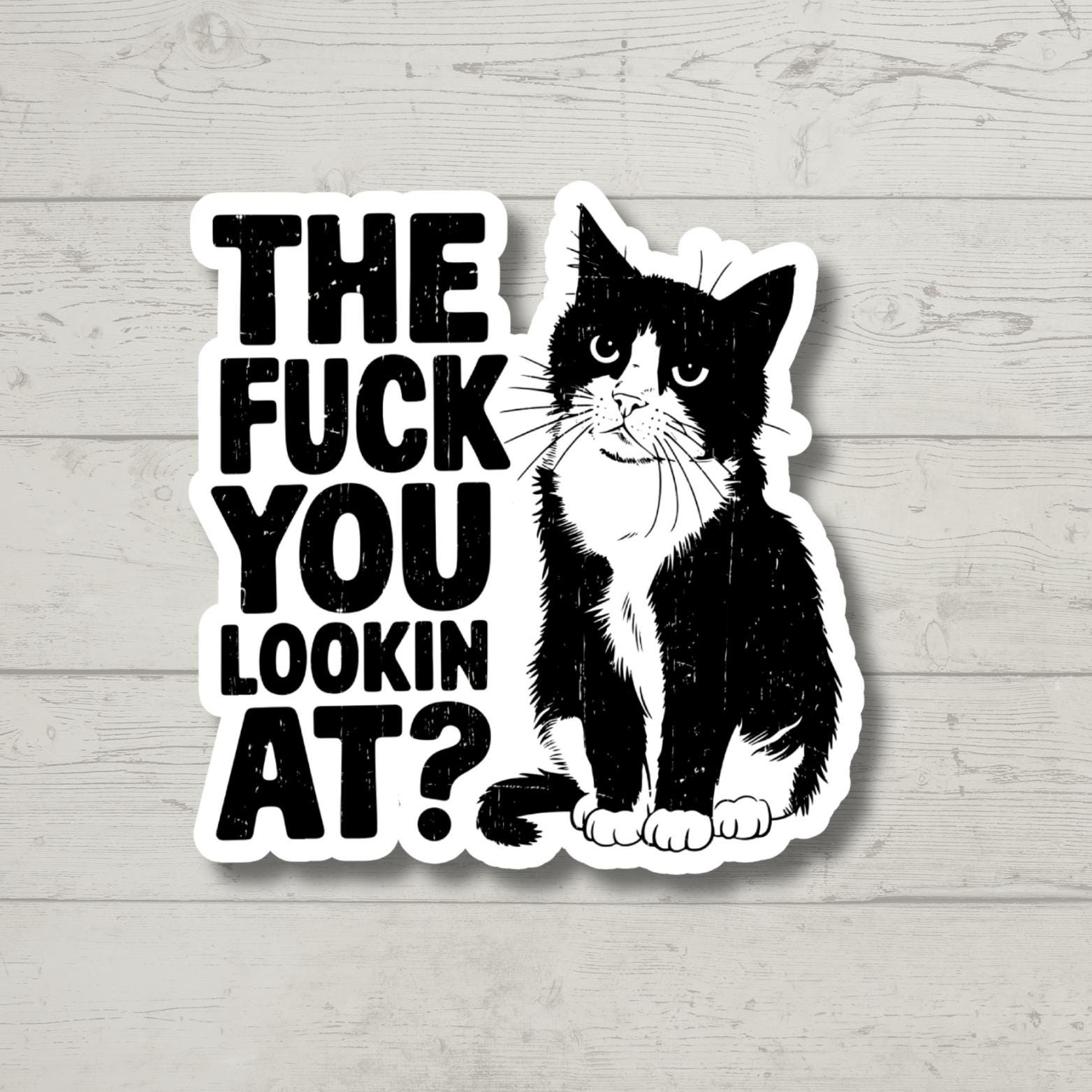 Ancient Greek Vase Cat Meme Sticker - Outdoor Vinyl Decal, 5 Inches, Funny Sticker For Laptop & Car - View #5