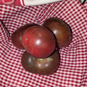 Tomato Seeds - Cherokee Purple Tomatoes