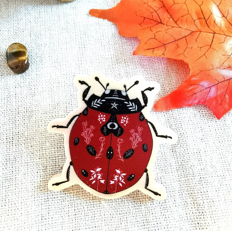 Pin's en bois modèle Coccinelle Wicca, broche de créateur, idée cadeau femme image 4