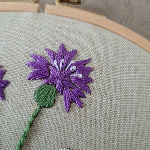 Daisy and Cornflower Pdf Hand Embroidery Beginner Botanical Pattern DIY ...
