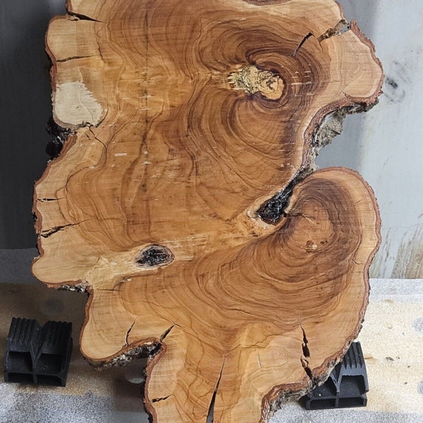 Rustic Olive live edge slab cookie Tree Root Slice Wood slice for epoxy resin project  40x33x4 cm A9