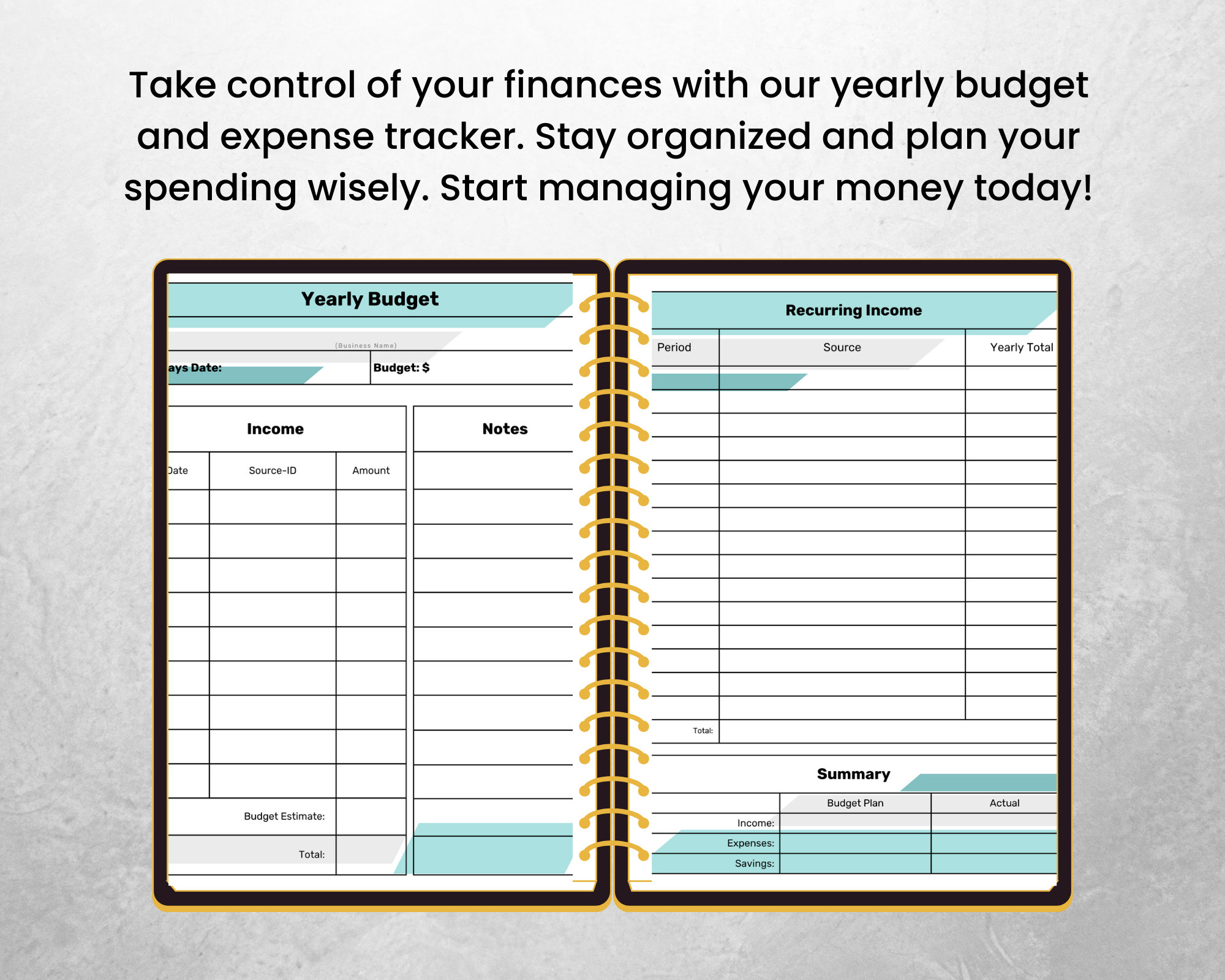 Yearly Budget and Expense Tracker Canva Editable Template Income ...
