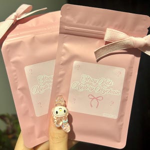 Mystery Bag Stray Kids x Sanrio Keychains / K-Pop Keychain Surprise Pack / K-Pop Fans Gift ~