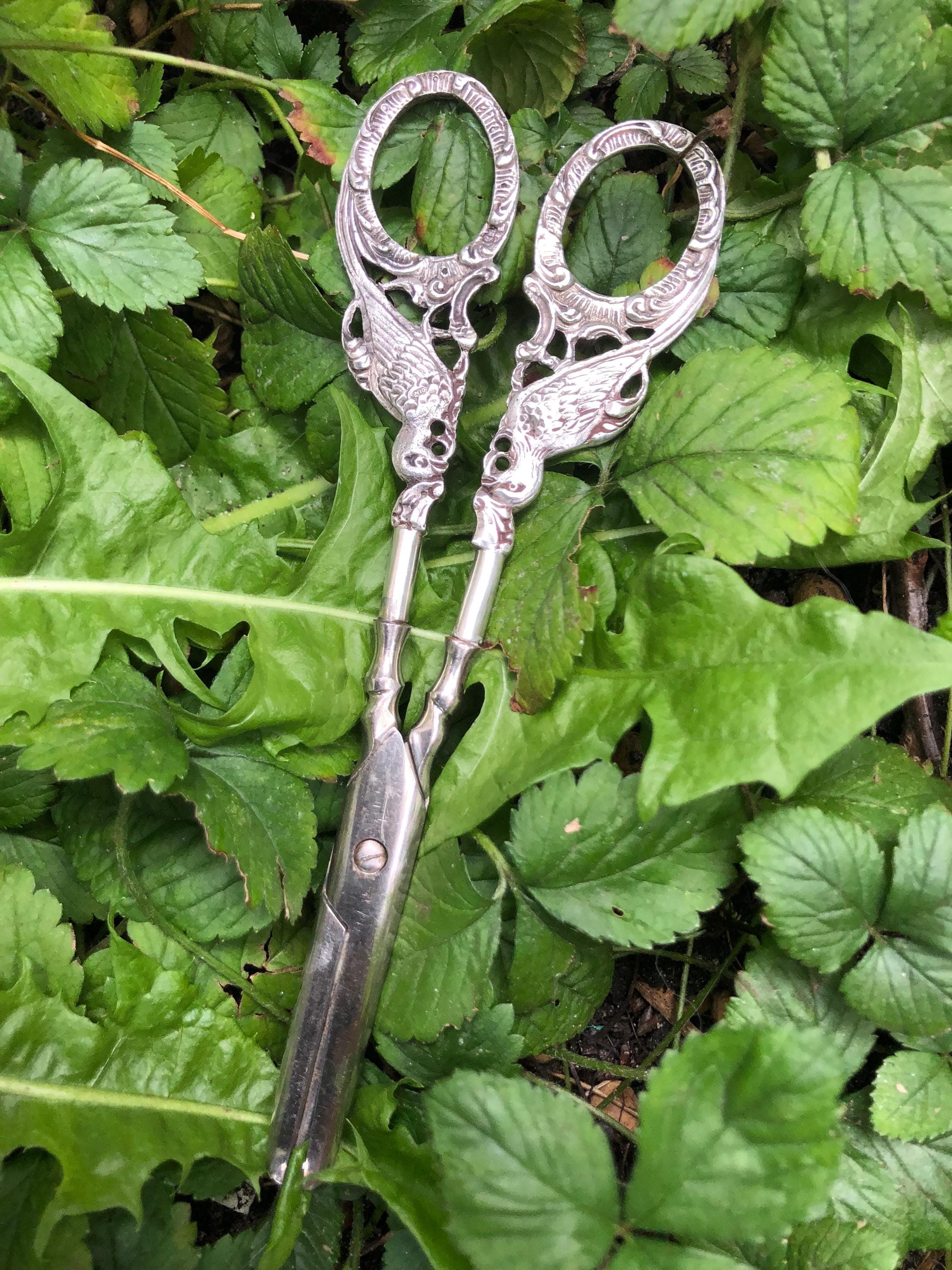 希少でユニークな銀のハサミ。19世紀のアンティークシルバー。鳥の装飾