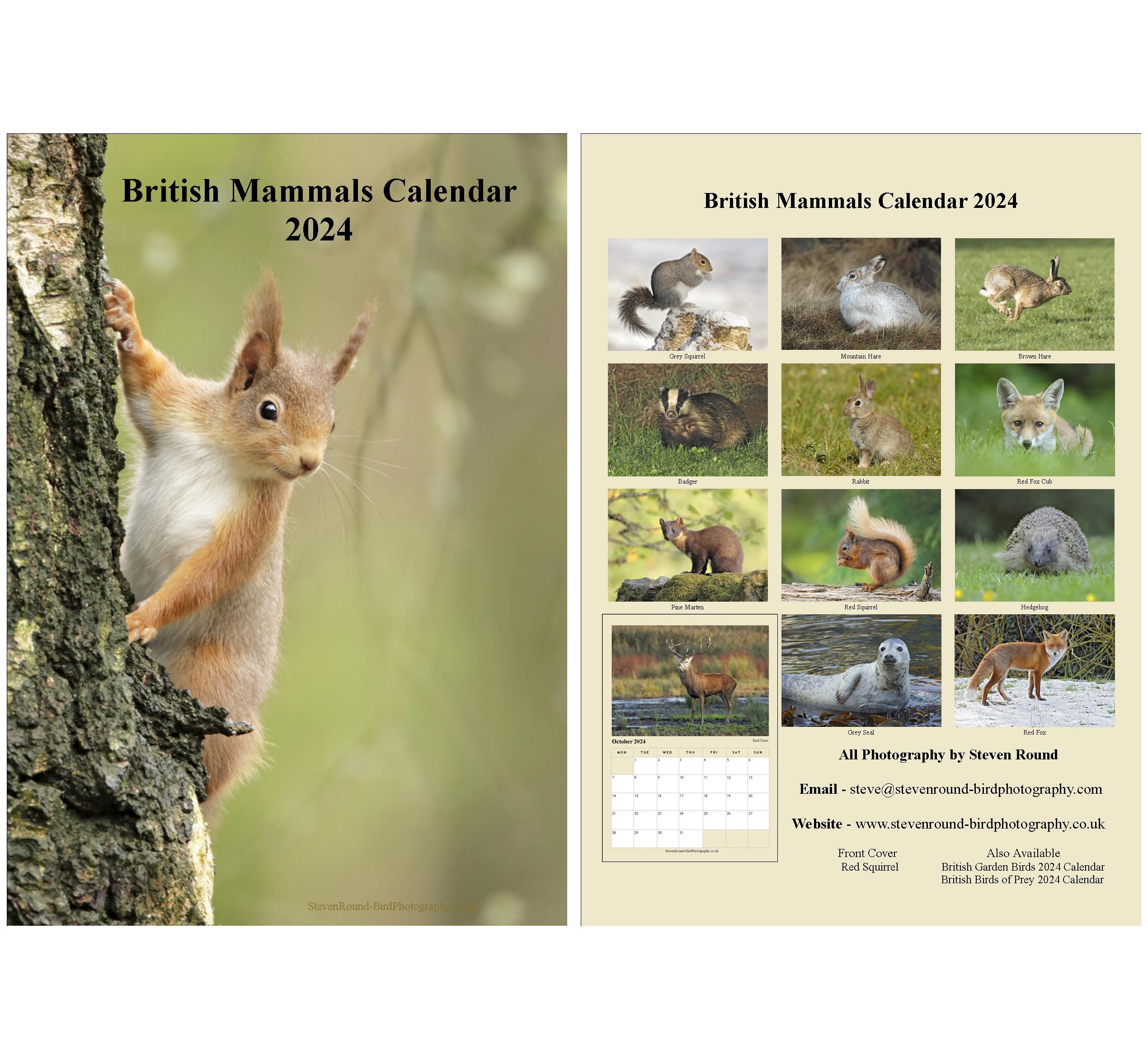Wildlife Wall Calendar. 2024, A4. With High Quality Bird Photographs