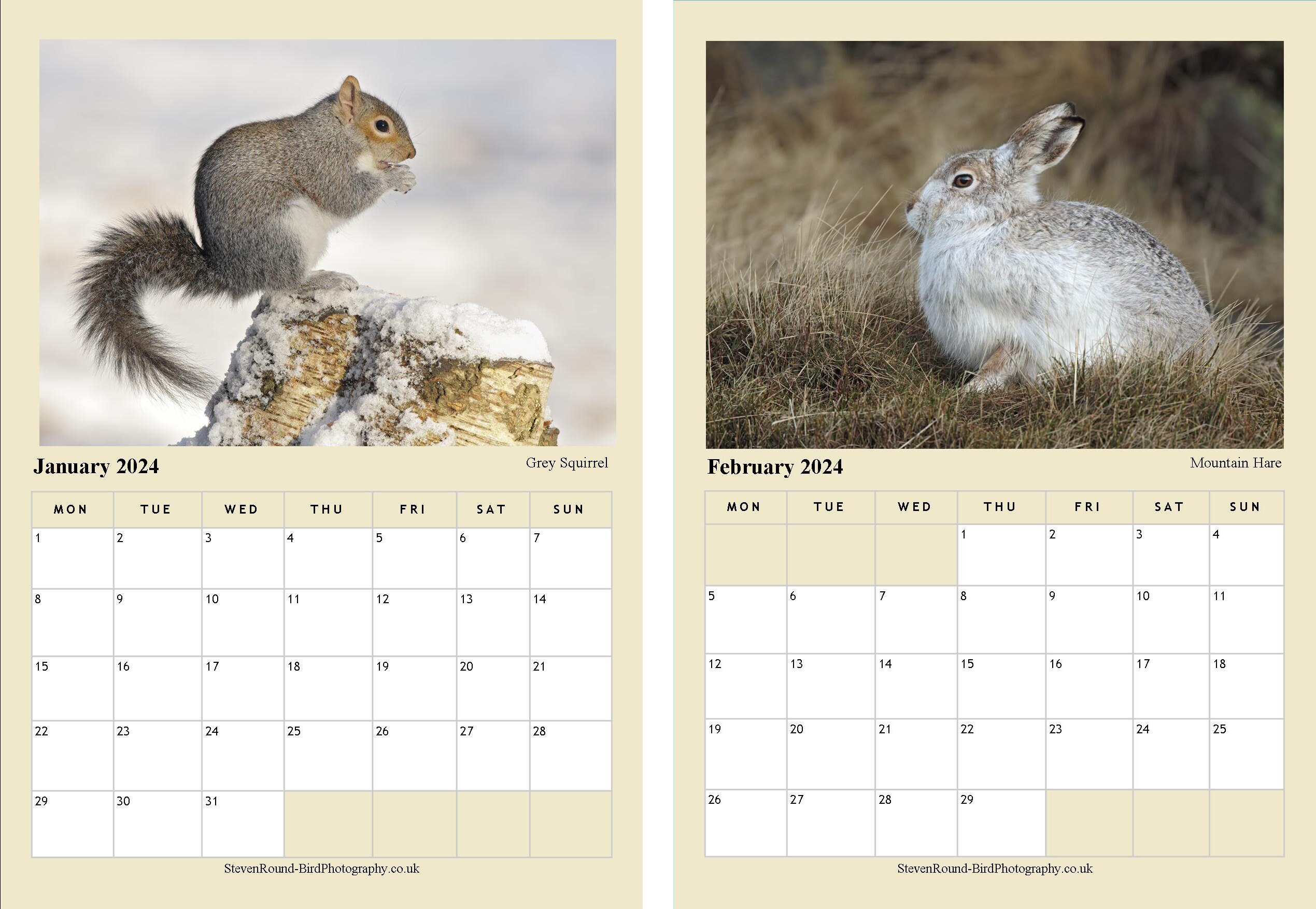 Wildlife Wall Calendar. 2024, A4. With High Quality Bird Photographs