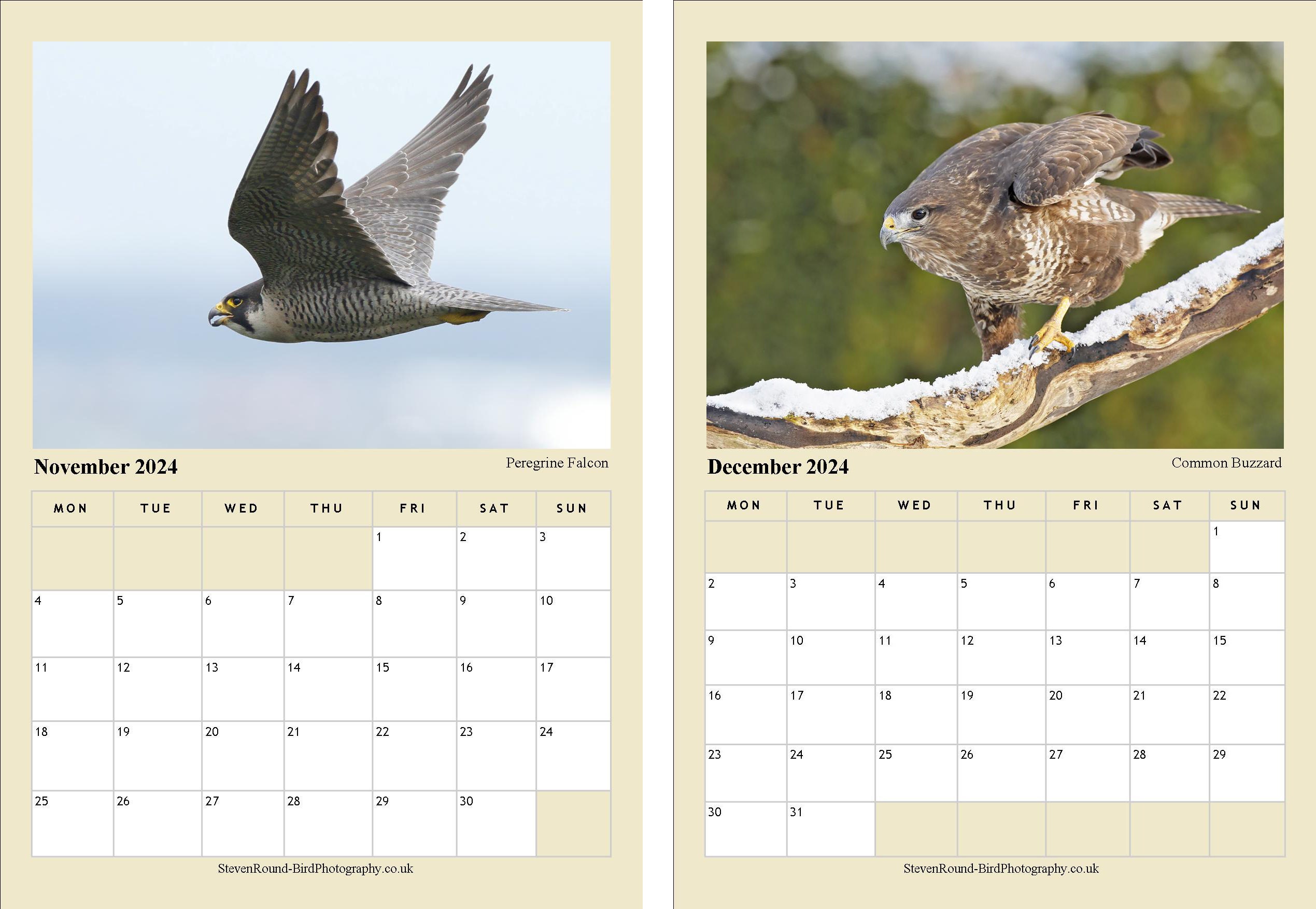 British Birds of Prey 2024 A4 Wall Calendar With High Quality Etsy