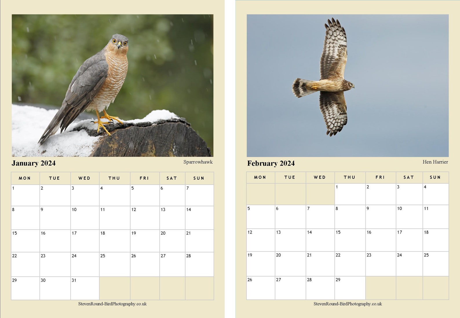 British Birds of Prey 2024 A4 Calendar With High Quality Bird Etsy