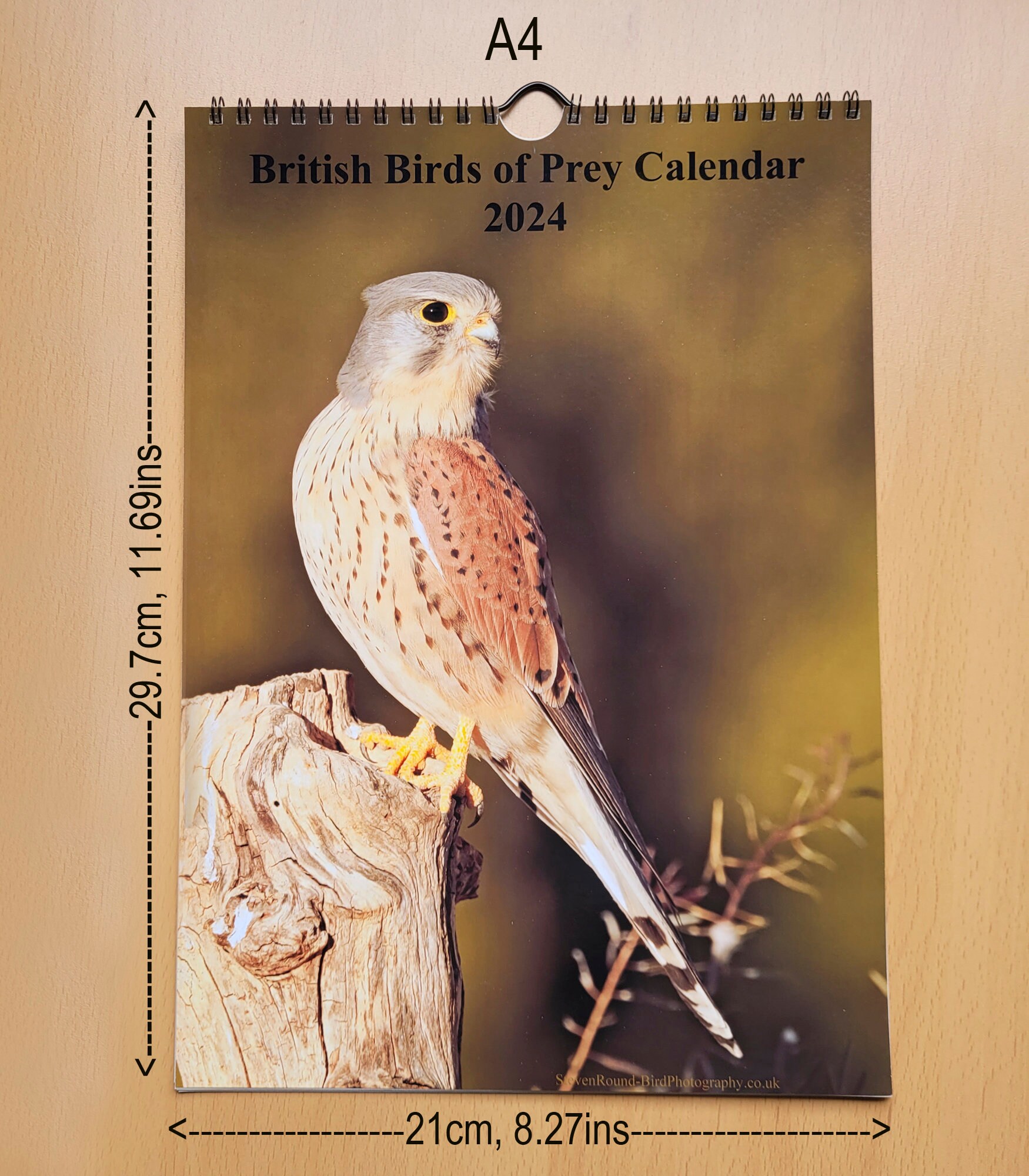 British Birds of Prey 2024 A4 Calendar With High Quality Bird Etsy
