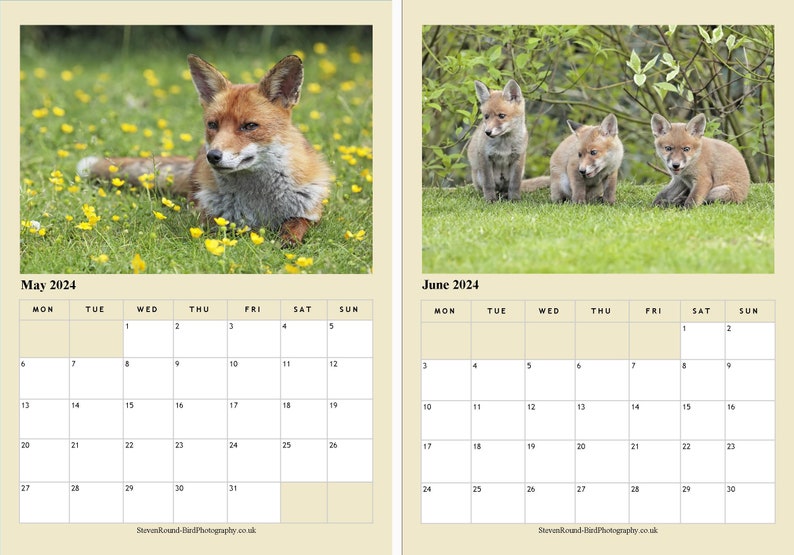 Foxes 2024 A4 Calendar With High Quality Animal Photographs. Etsy UK