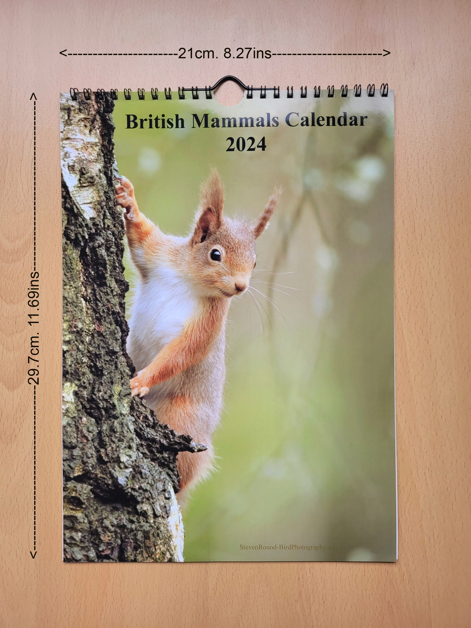 Wildlife Wall Calendar. 2024, A4. With High Quality Bird Photographs
