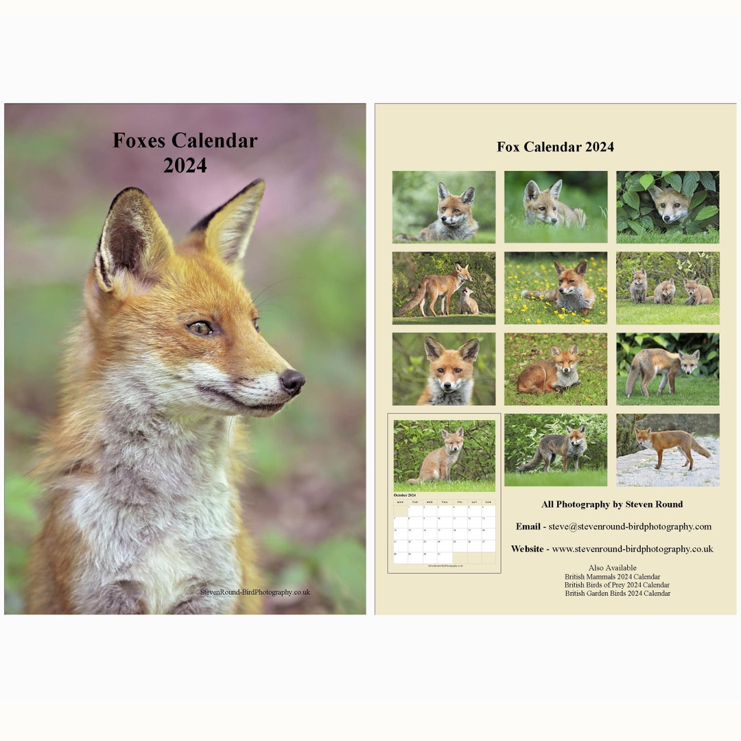 Foxes Wall Calendar. 2024, A4. With High Quality Bird Photographs. UK
