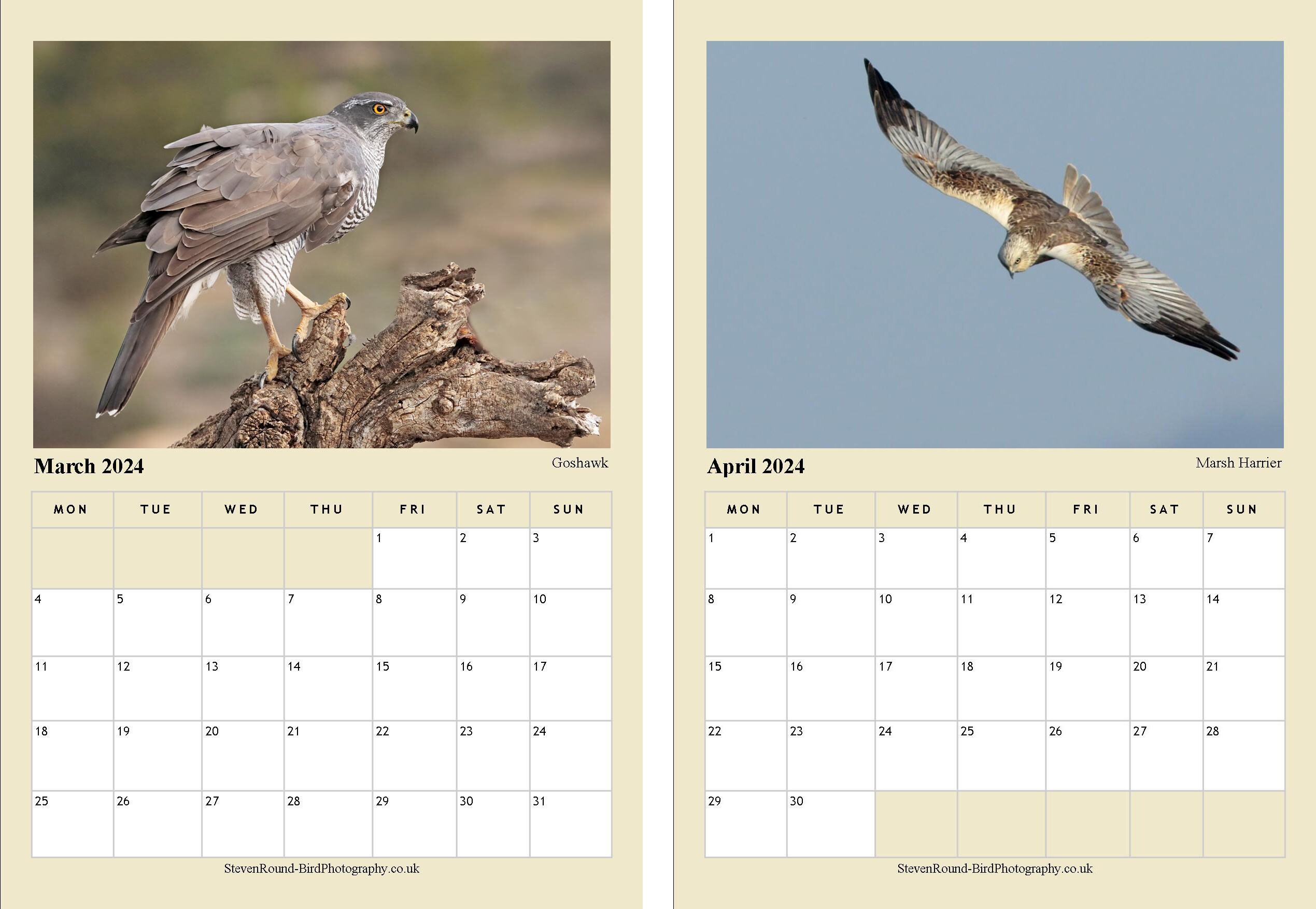 Birds of Prey Wall Calendar. 2024, A4. With High Quality Bird