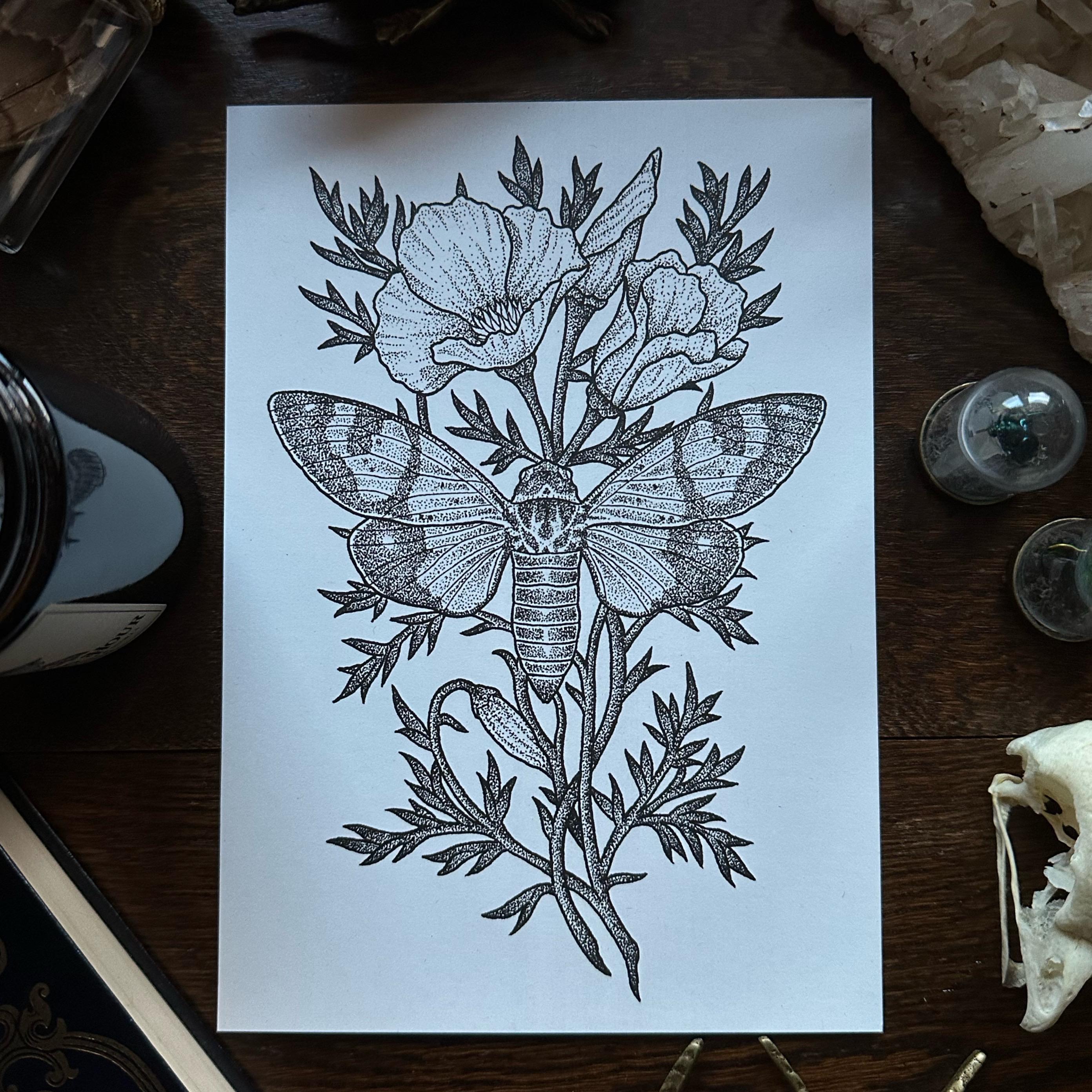 Insect Art Print | Moth | Cicada | Mantis | Wall Art | Fine Art Print ...