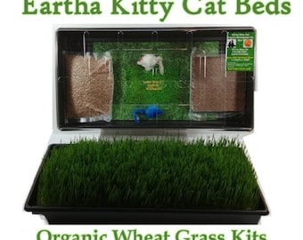 Eartha Kitty Organic Wheatgrass Cat Bed