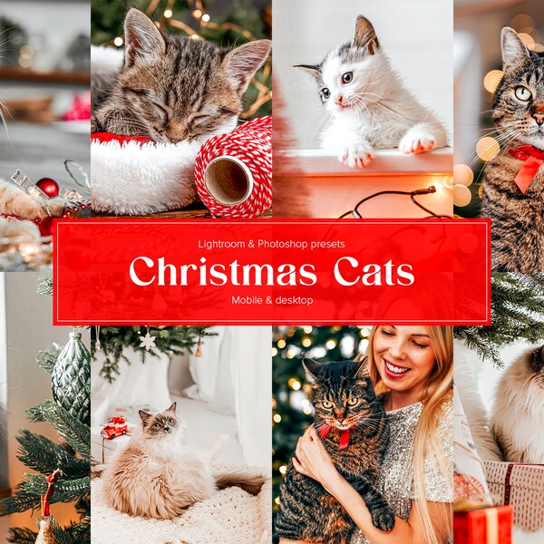 10 Christmas Cats Mobile and Desktop Lightroom + Photoshop Presets | Christmas Holiday | Pets | Cute Cats