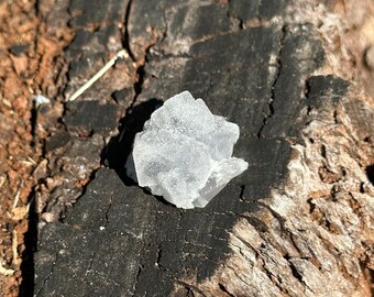 May include: A clear, white crystal with a rough, irregular shape sits on a piece of weathered, dark brown wood.