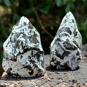 Sea Jasper Flame
