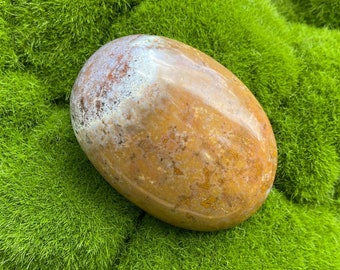 Sea Jasper Palm Stone