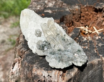 May include: A cluster of clear quartz crystals with green inclusions, resting on a weathered tree stump. The crystals have a natural, raw appearance.