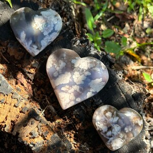 Flower Agate Heart