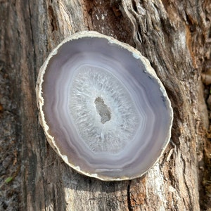 May include: A close-up of a light purple agate slice with a white center and concentric rings. The agate is resting on a piece of weathered wood.