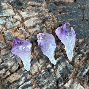 Amethyst Root