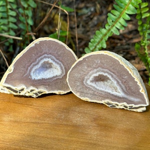 May include: Two halves of a geode, showcasing a natural, organic aesthetic. The interior reveals concentric bands of light purple and white, with a central cavity. The outer edges have a rough, textured appearance, set against a wooden surface and green foliage.