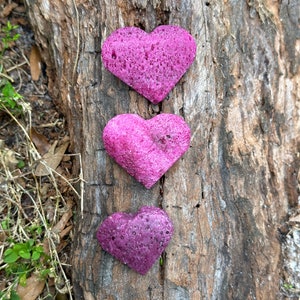 May include: Three heart-shaped objects in varying shades of purple are arranged vertically on a textured, brown tree trunk. The hearts have a porous appearance, suggesting a sponge-like material. The background includes hints of green foliage.