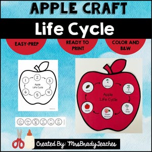 May include: An Apple Craft Life Cycle educational activity set featuring a black and white template, a completed red apple model with cycle stages, and a strip of icons. Text includes APPLE CRAFT, Life Cycle, EASY-PREP, READY TO PRINT, COLOUR AND B&W.