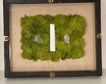 Framed moss art with selenite and crystals