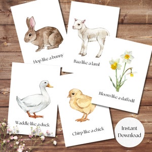 spring movement cards