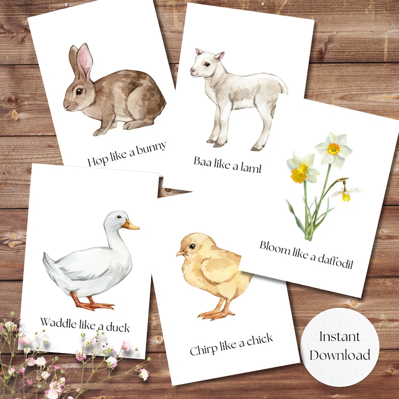 spring movement cards