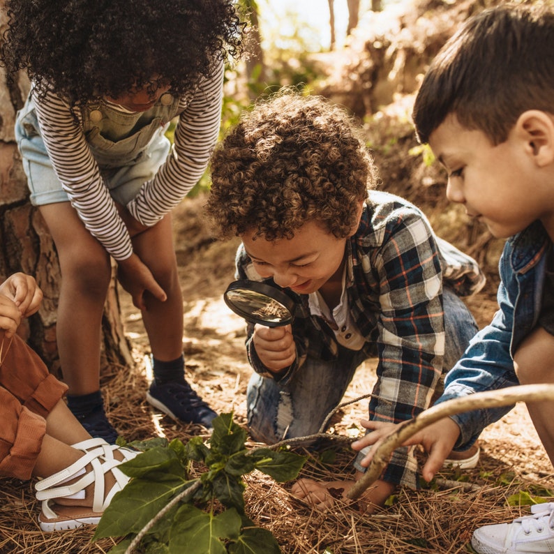 May include: A group of children exploring nature outdoors. One child uses a magnifying glass to examine a plant. The children are surrounded by trees and foliage, engaged in a learning activity.