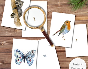 Woodland Animal Magnifying Match Game, Montessori Activity (Digital Print)