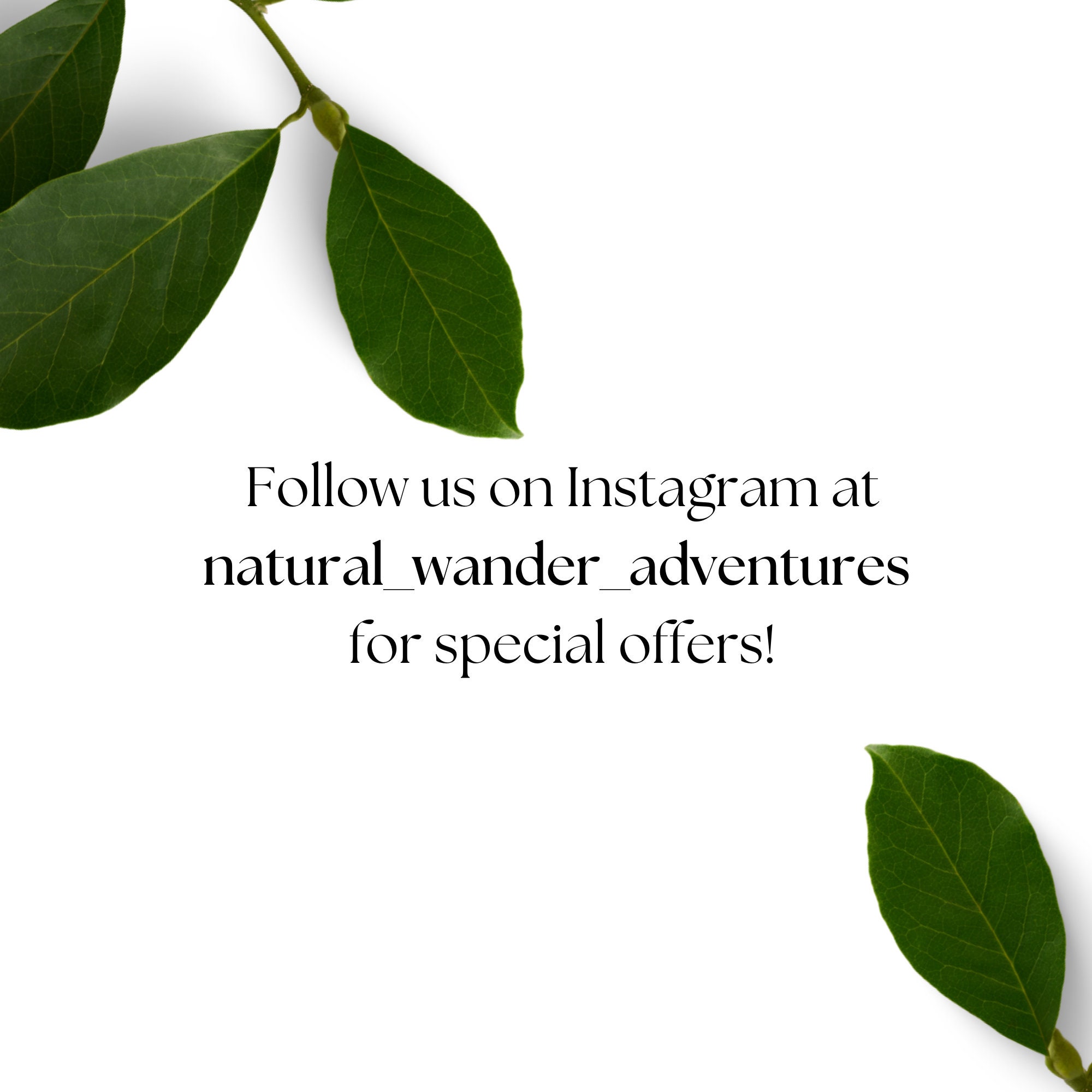 camping-scavenger-hunt-printable-instant-download-outdoorsy-kids-get-kids-playing-outside